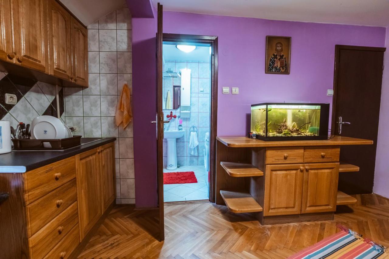 Hostel Laufer Novi Sad Exterior foto